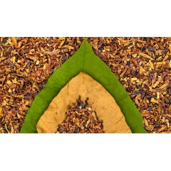 Taietura frunzelor de tutun. Cum influenteaza aroma?