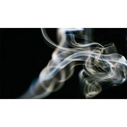 Nicotina - ce este nicotina, istoricul ei și produsele în care poate fi găsită