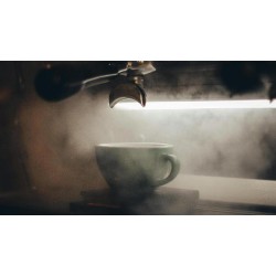 Cofeina, un alcaloid natural care revitalizează metabolismul – sfaturi pentru maximizarea potențialului