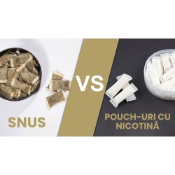 Snus vs pouch-uri cu nicotină – Diferențe, riscuri și ghid complet
