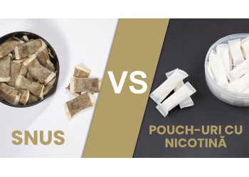 Ghid: Snus vs pouch-uri cu nicotină – Diferențe, riscuri și ghid complet