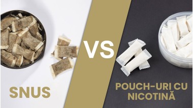 Ghid: Snus vs pouch-uri cu nicotină – Diferențe, riscuri și ghid complet