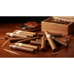 Tipuri de trabucuri după origine, tăietură, dimensiune și intensitate