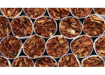 Care e diferența între tutunul Virginia și American Blend? Ghidul complet pentru alegerea mixului ideal în 2026