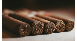 Cum se fumează un trabuc: tăiere, aprindere și ritualul corect