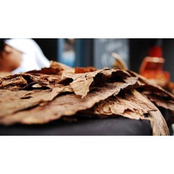 Tutun uscat sau umed - Ghid complet pentru alegerea și depozitarea corectă, avantaje, dezavantaje și trucuri de cunoscător