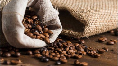 Cafea de origine RioTabak vs cafea conventionala din comert