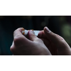 Cele mai bune foite de rulat: Cum le alegi?