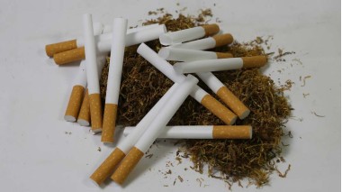 Cele mai bune tuburi pentru tigari: Tipuri, sfaturi si modele recomandate