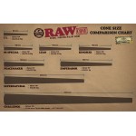 Conuri de fumat prerulate cu filtru carton marca RAW Organic King Size