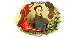 Logo Bolivar