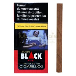 Tigari de foi DJARUM Ruby Filter 17g (cirese) 10