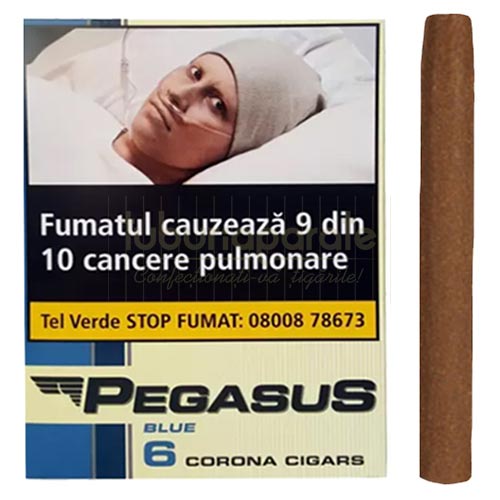 Tigari de foi Pegasus Blue 55g (6) Pachet cu 6 tigari de foi fara filtru Pegasus Blue 55g