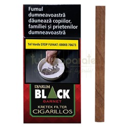 Tigari de foi DJARUM Garnet Filter 17g (cirese, menta) 10