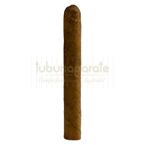 Trabucuri Canaritos Brevas Celo (5) Trabucuri Canaritos Brevas Celo in pachet de 5 trabucuri ambalate individual in folie de pastrare