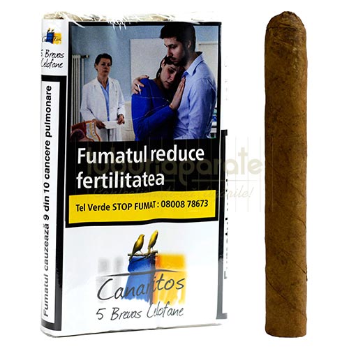 Trabucuri Canaritos Brevas Celo (5) Trabucuri Canaritos Brevas Celo in pachet de 5 trabucuri ambalate individual in folie de pastrare