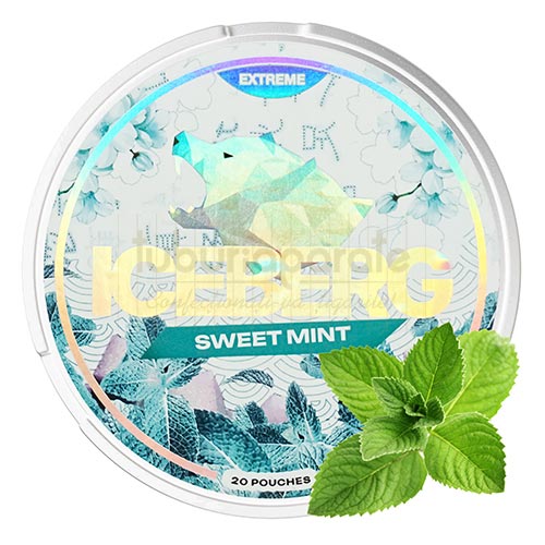 Pouch nicotina Iceberg Sweet Mint (16,8 mg/pouch)