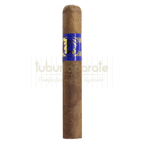 Trabucuri Inca Secret Blend Robusto Blue (10) Trabucuri de tarie medie spre tare Inca Secret Blend Robusto Blue cu lungimea de 127 mm