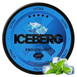 Pouch nicotina Iceberg Mini Frosty Mint (20 mg/pouch)