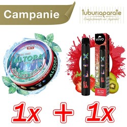 1x Pouch Altora Mint Ice (19mg/pouch) + 1x Vivo Flix Strawberry Kiwi (700 pufuri)