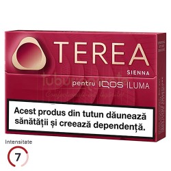 TEREA Sienna (20)