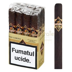 Trabucuri Aurora Principes Maduro Petit Corona (12)