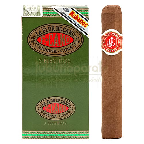 Trabucuri La Flor De Cano Elegidos (3) Pachet cu 3 trabucuri La Flor De Cano Elegidos de origine Cuba cu lungimea de 127 mm de tarie slaba spre medie