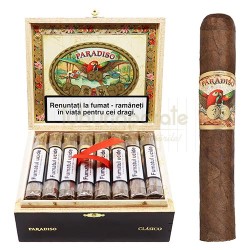 Trabucuri Paradiso Classico Robusto (24)