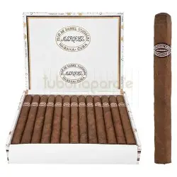 Trabucuri Rafael Gonzalez Panetelas Extra (25)